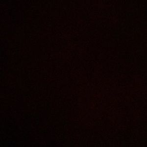 Meet your Posher, Rita